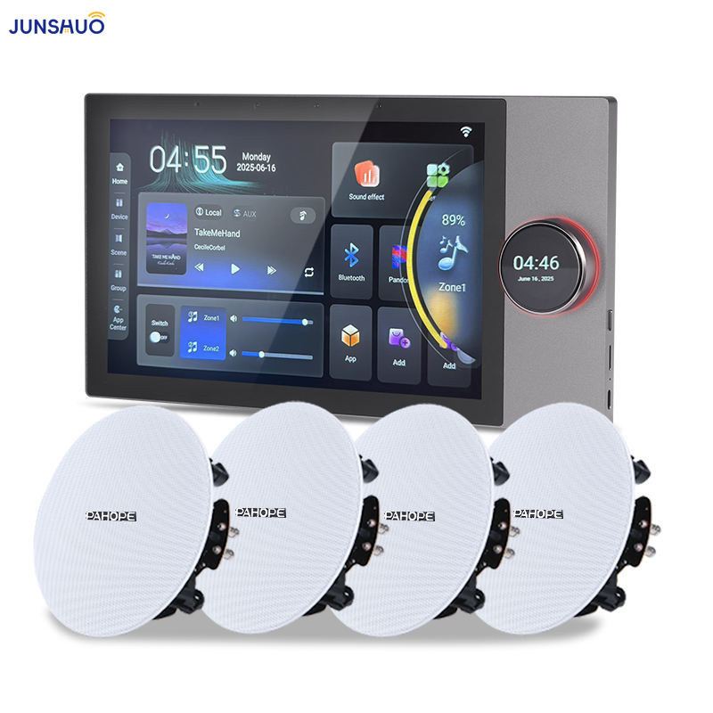 Tuya Smart 10-inch dual-partition 8-way speaker control pane